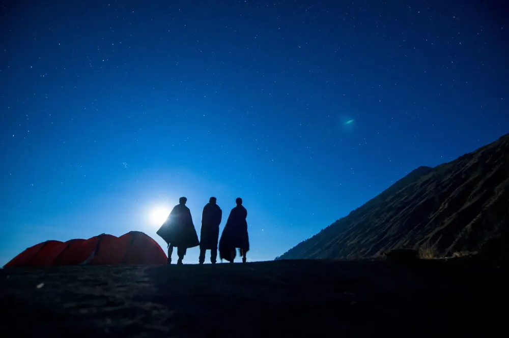 Moonlight Adventures